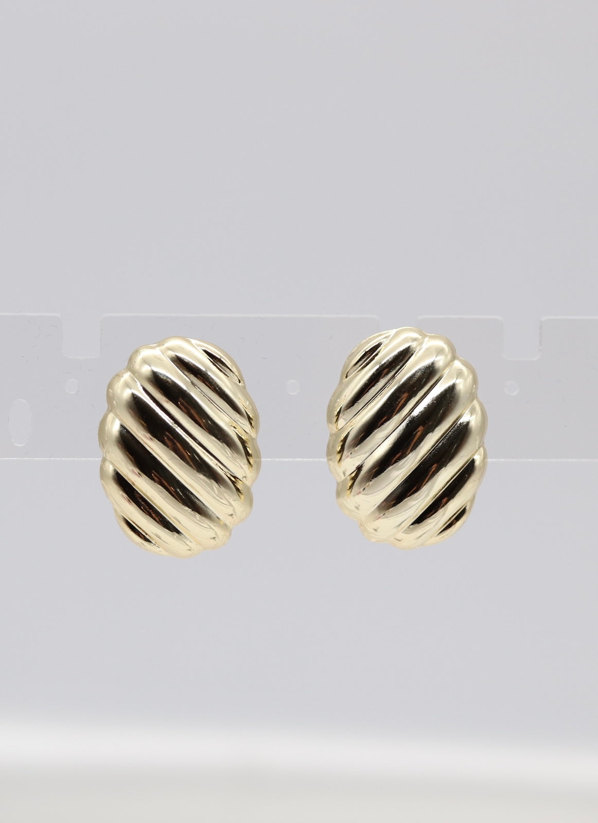Shell Gold Earrings