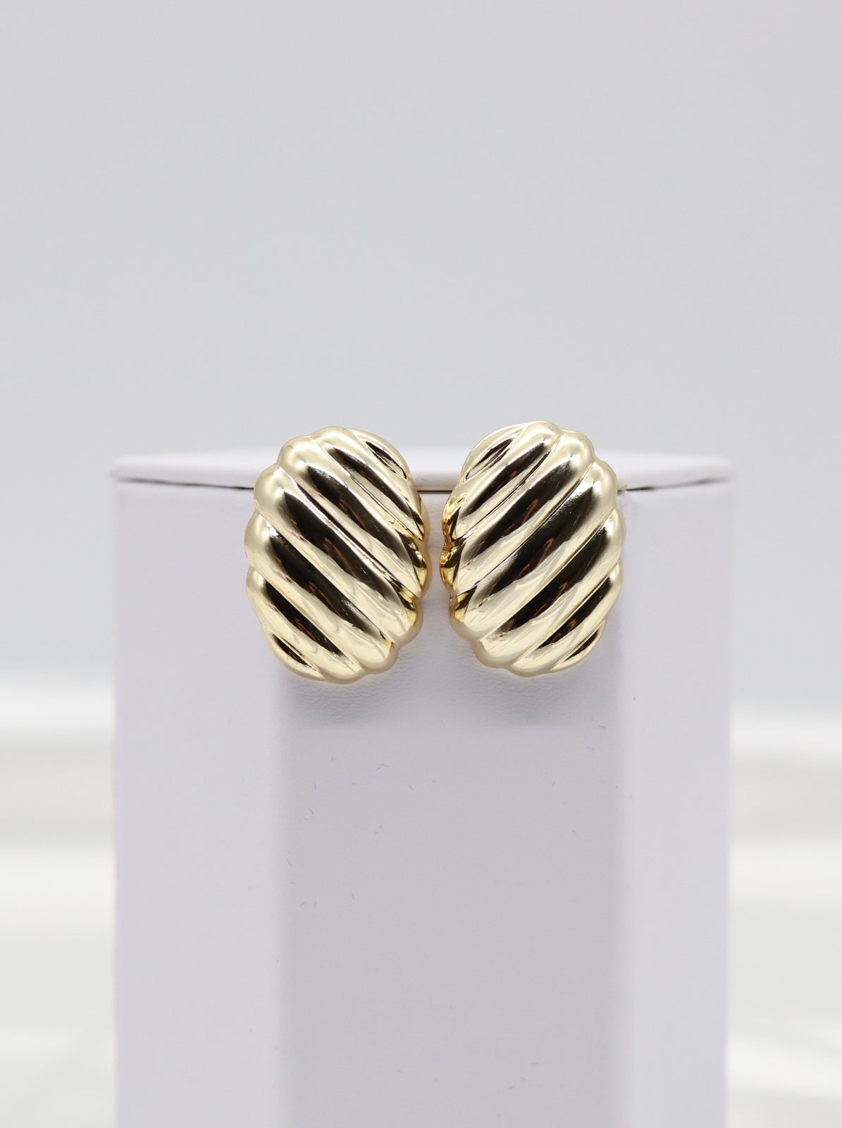 Shell Gold Earrings