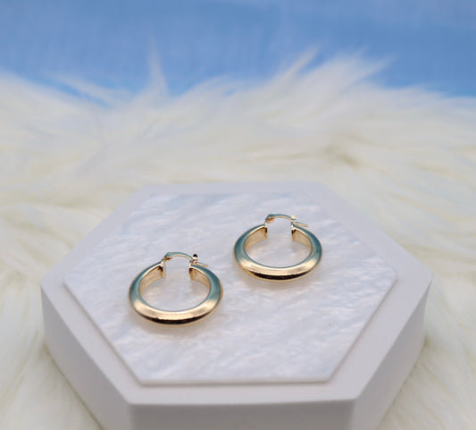 Medium Solid Gold Hoop Earrings