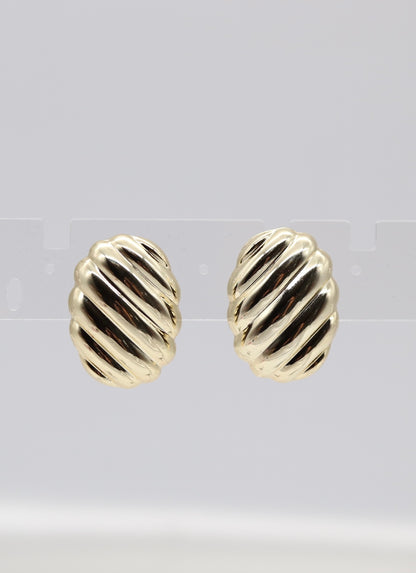 Shell Gold Earrings