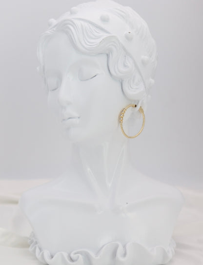 Gold Crystal Accent Hoop Earrings – Textured Luxe Hoops
