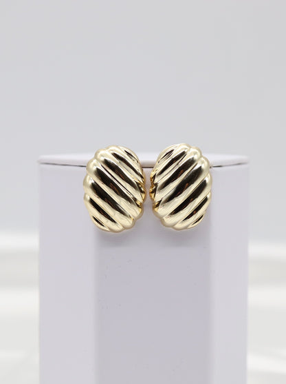 Shell Gold Earrings