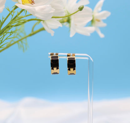 Black Luxury Earrings