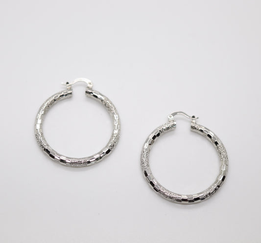 Shiny Silver Hoop Earrings