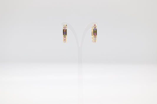 Radiant Gold Multi-Colored Earrings